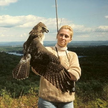 Tracy Higgins Photo 35