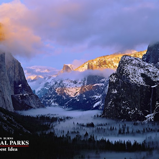 Jan Pearson Photo 31