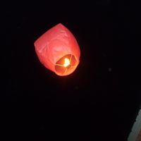 Tracy Malloy Photo 14