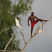 Rick Branch Photo 25