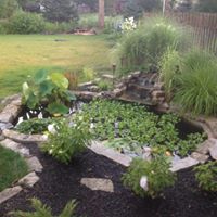 David Stager Photo 6