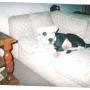 Marcus Downing Photo 3