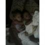 Tiffany Marshall Photo 38