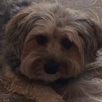 Jennifer Goodman Photo 45