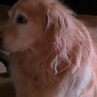 Debra Schell Photo 11