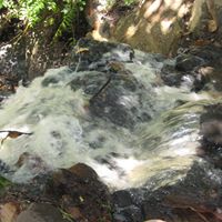 Laquita Harris Photo 29