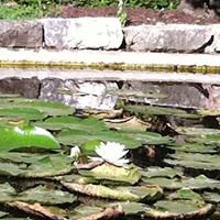 Dan Sylvester Photo 28