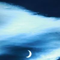 Jill Harvey Photo 14