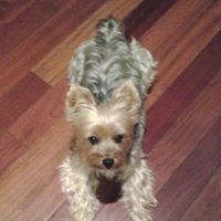 Michelle Sunderland Photo 3