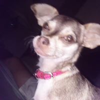 Laura French Photo 32