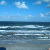 Tamara Collins Photo 15