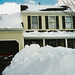 Theresa Wells Photo 7