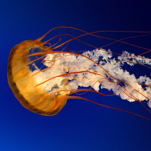 Rachel Singh Photo 7