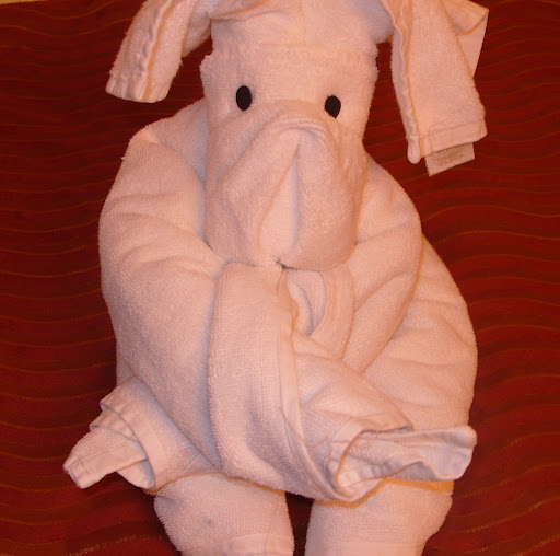 Debbie Pollock Photo 13