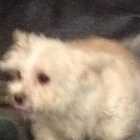 Debbie Houser Photo 33