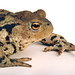 David Kratz Photo 7