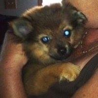 Douglas Walters Photo 27 Douglas Walters Photo 27