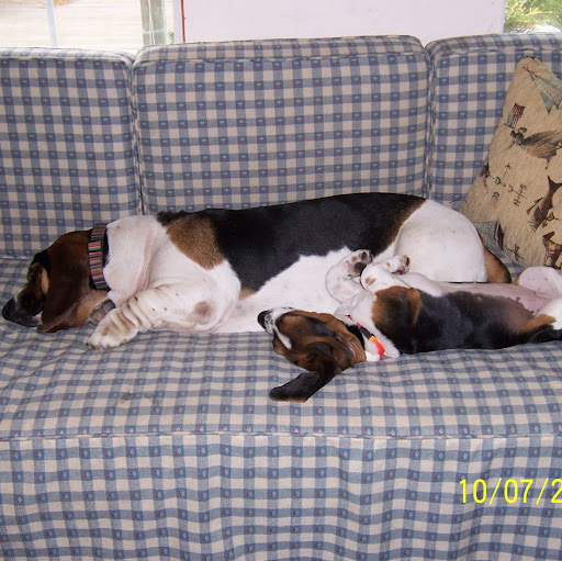 Ann Cox Photo 14