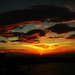 Chung Tung Photo 20