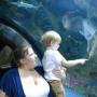 Elizabeth Snodgrass Photo 32