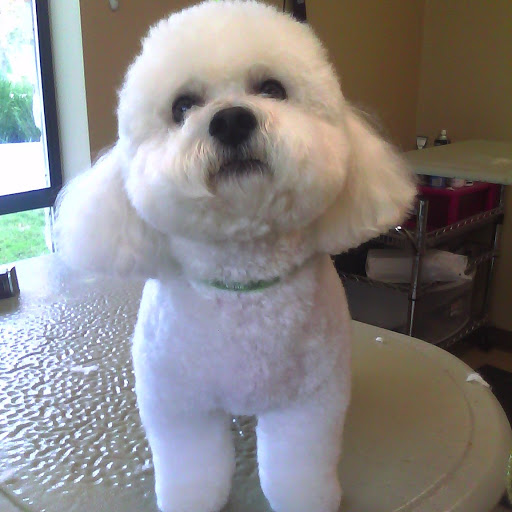 Vickie Bates Photo 14