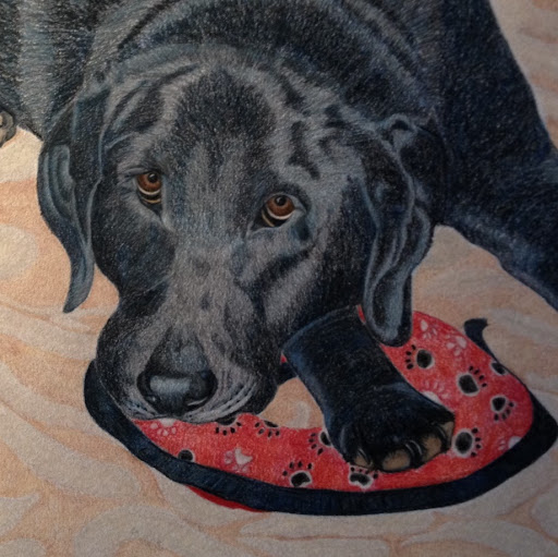 Brenda Murphy Photo 7