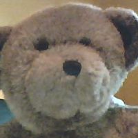 Samuel Jensen Photo 31