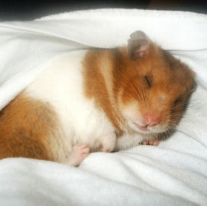 Molly Vaughan Photo 18