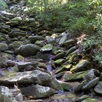 Rita Mcdaniel Photo 19