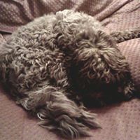 Julie Standing Photo 2