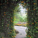 Susan Gates Photo 39