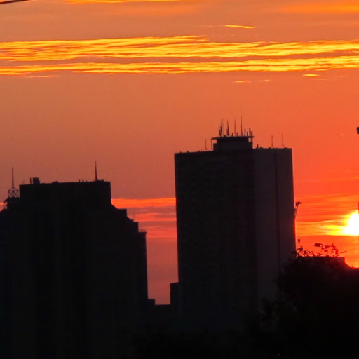 Susan Paul Photo 49 Susan Paul Photo 49