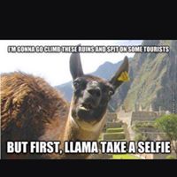 Jamie Cates Photo 19