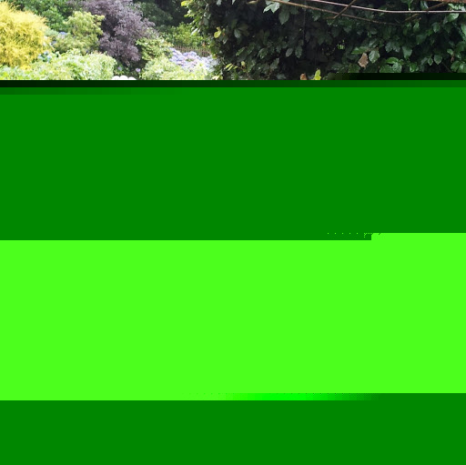 Anna Symington Photo 9