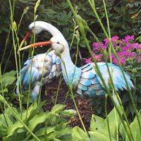 Beverly Weber Photo 7