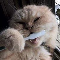 Nancy Rowley Photo 19