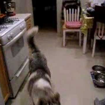 Jillian Spencer Photo 27 Jillian Spencer Photo 27