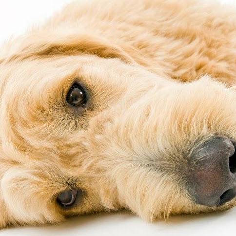 Ruth Prince Photo 23