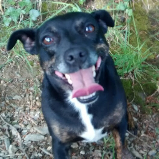 Stacey Wright Photo 38