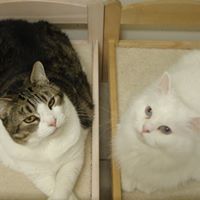 Roberta Law Photo 11