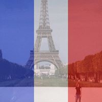 Michele Price Photo 8