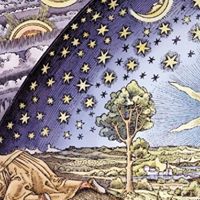 Stephanie Flemming Photo 7