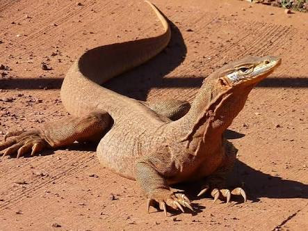 Steven Read Photo 15