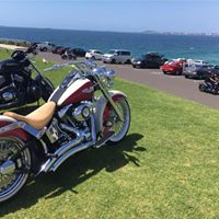 Anthony Graf Photo 7