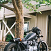 Harry Meyers Photo 14