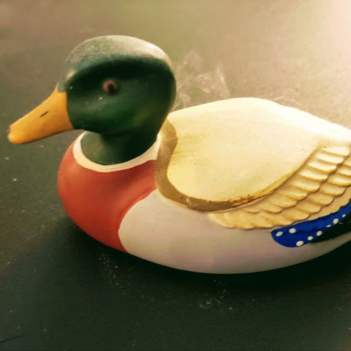 Jeremy Stevens Photo 9