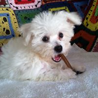 Annette Angelo Photo 2