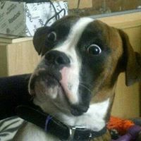 Terry Simon Photo 16