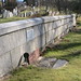Marian Wheeler Photo 14