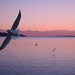 Richard Keim Photo 28